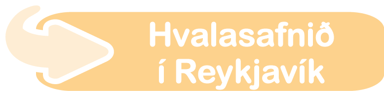 Hvalasafnið í Reykjavík